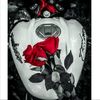 pulsar_ns_200lovers