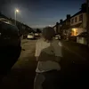 watchxng