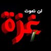 قصي ابو فؤاد