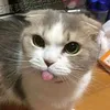 Masa Depanmu 🤭