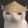 panacea_keke