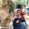 haliza.rujit00