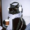 vexedsoull
