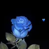 shreen_16