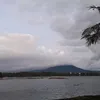 necypuhawan