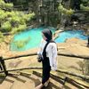 sulis_jetourbekasii