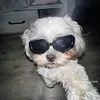 thanhchuc30