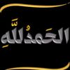 user4564990360221