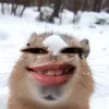 shanayaai_