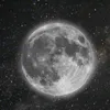 dypz7d9vx5lg