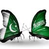 life_in_saudia14