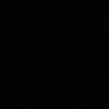 surchi_222