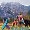 bernesemountaindoglovers