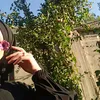 xlm_18