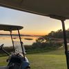 tunaofcandlewood