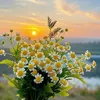_mitthu97