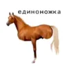 pigonchici_kruti