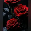 userrvmbf37djo