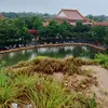 hoahuongduong.233