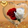 ahmadba58