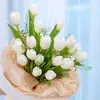 hoatulip292