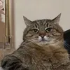 sk8ralxa