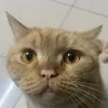 user6j4ism9elg
