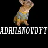 adriianovdytof