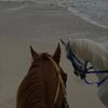 nouf_2046