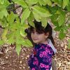omfhad06