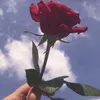raja_barwari