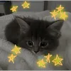 _.kodi_