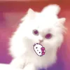 miany.08
