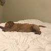 kendyl_miller_