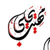 مهيب المسوري