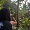 its_von03