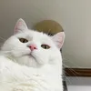 kensizz98