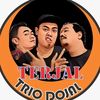 terjal_triodojal
