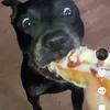 rolo1eats