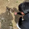 katsakioriss