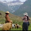 گو ندى شيخا ن 🧿🏔️🏔️