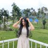 dillaginting53
