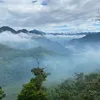_da_canh_anh_tu