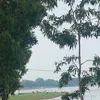 hangtrann081