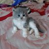 erwan_rizki