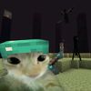 nour.mahmoud818
