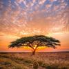 andrewthuo6