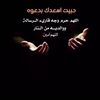 shsh39018575
