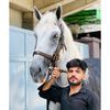 tabishah343