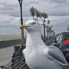 adrianm040